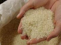برنج ۴۵ هزارتومانی حباب دارد
