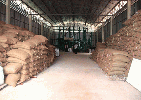 دپو ۱۰۰ هزار تن برنج وارداتی در انبارهای بنادر و گمرکات