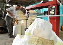 دلالان باعث افزایش قیمت برنج شدند