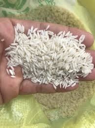 برنج ایرانی به راحتی قابل احتکار است