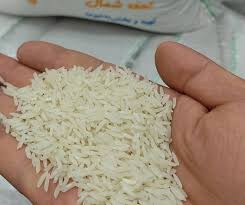 قیمت برنج در بازار همچنان نزولی است