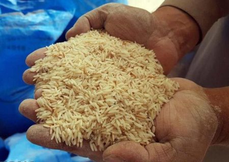 نهایی شدن قیمت برنج در روزهای آینده