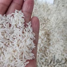 رونق نسبی بازار برنج مازندران با خرید توافقی دولت