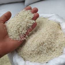 خرید ۵۰ هزارتن برنج پرمحصول از شالیکاران مازندرانی