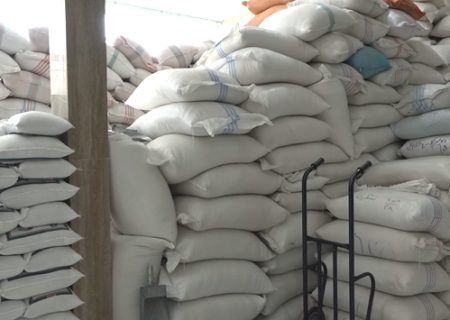 اعلام آمادگی اتاق بازرگانی عراق برای خرید برنج مازندران