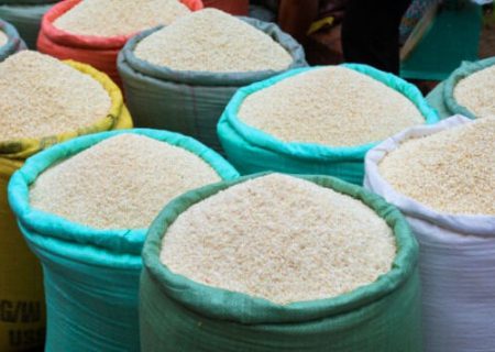 کاهش قابل توجه قیمت برنج