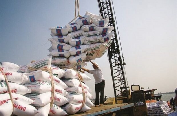 پیشنهاد کاهش زمان ممنوعیت واردات برنج
