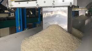 تولید ۷۲۰ هزار تن برنج سفید در گیلان