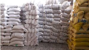تصمیم بزرگ دولت برای خرید محصول برنج کاران مازندرانی