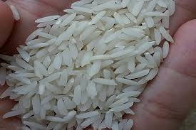 تولید ۲۲ هزار تن برنج سفید در آذربایجان‌شرقی