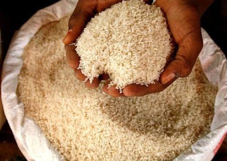 پاسخ وزارت جهاد به گزارش فساد برنج
