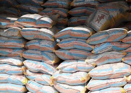 اعطای مجوز خاص به یک واردکننده برنج صحت ندارد