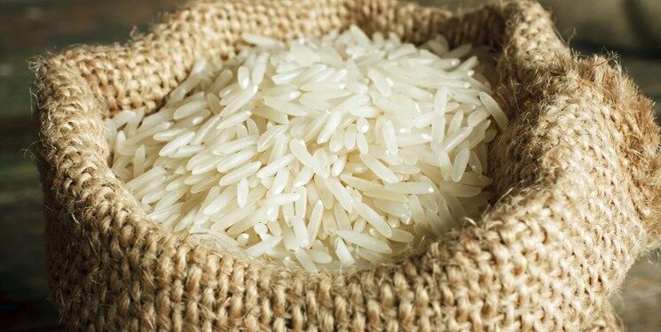 سقوط آزاد قیمت برنج هندی