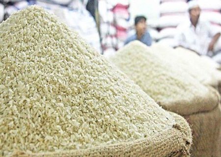 جریان مافیا برنج را از دست کشاورز خارج کردند